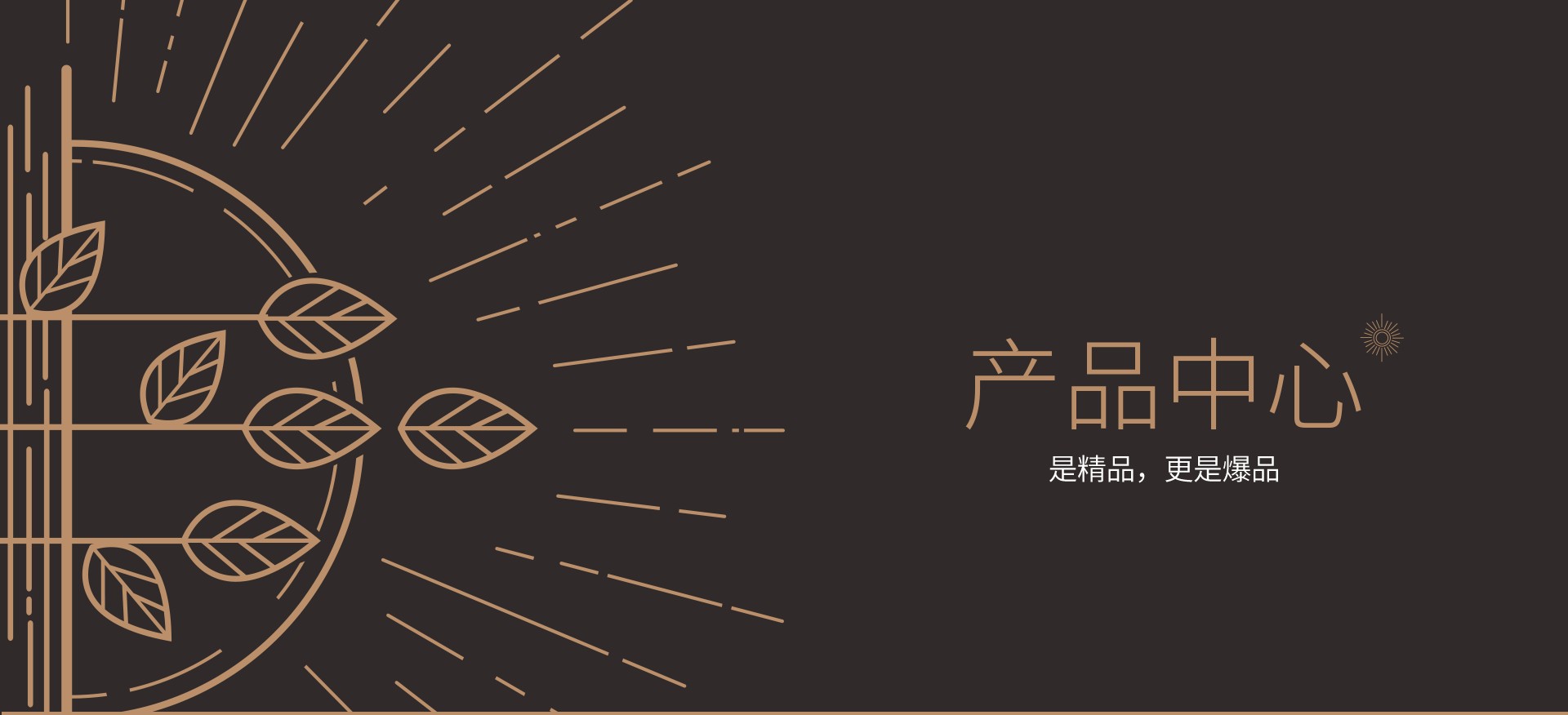 产品中心banner